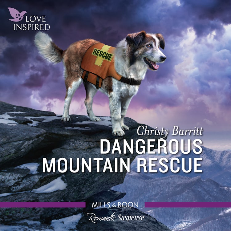 Cover image for Dangerous Mountain Rescue, isbn: 9781867261384