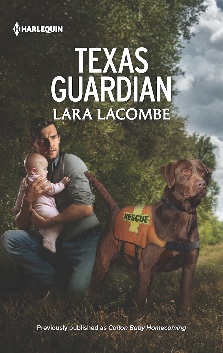 Cover image for Texas Guardian, isbn: 9781867261605