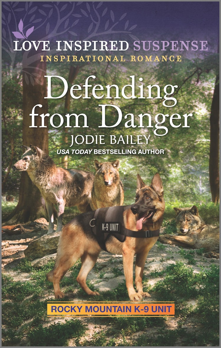Cover image for Defending from Danger, isbn: 9781867261933