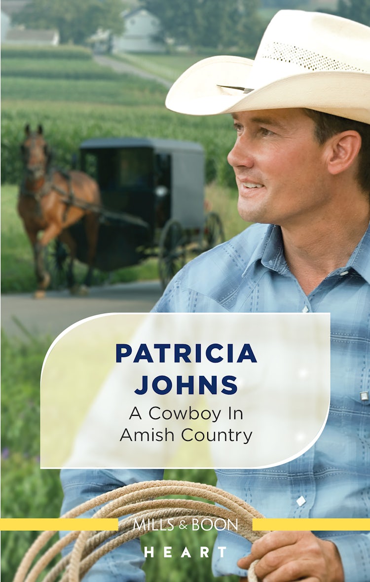 Cover image for A Cowboy in Amish Country, isbn: 9781867263043