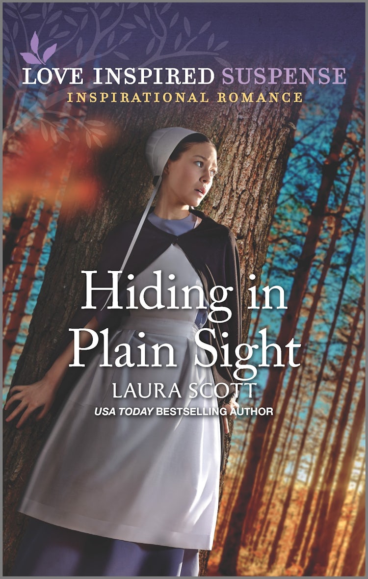 Cover image for Hiding in Plain Sight, isbn: 9781867263968