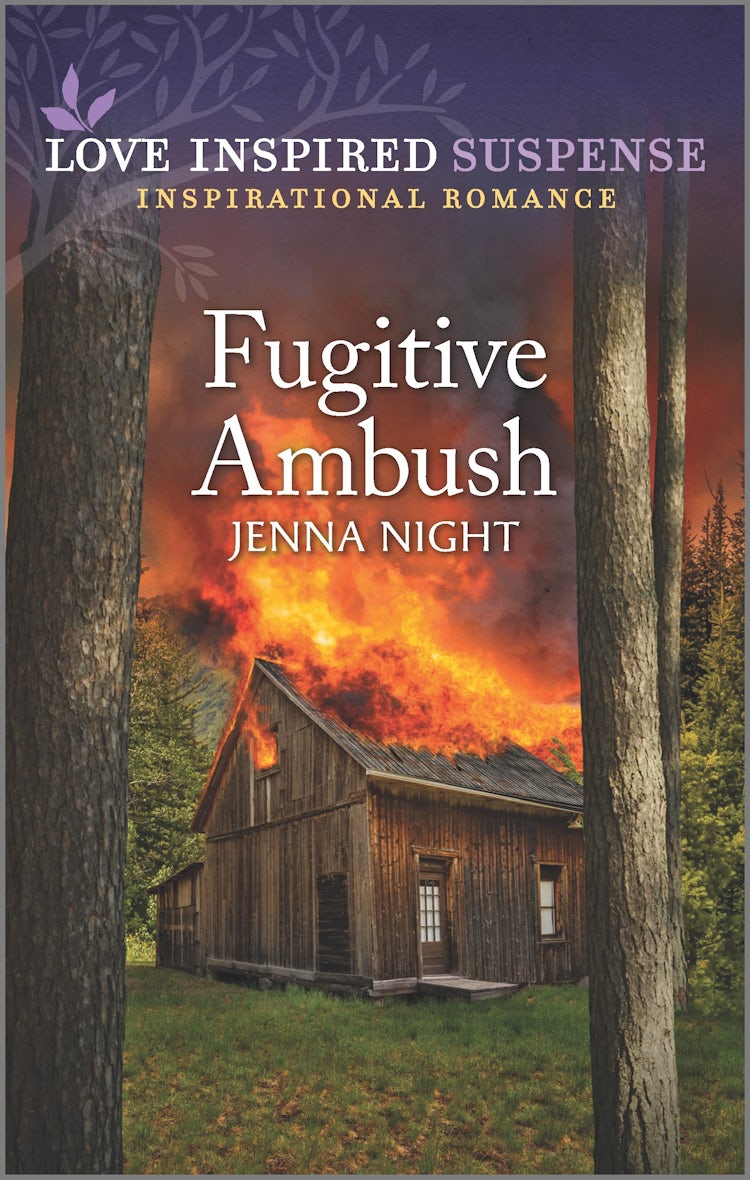 Cover image for Fugitive Ambush, isbn: 9781867263975