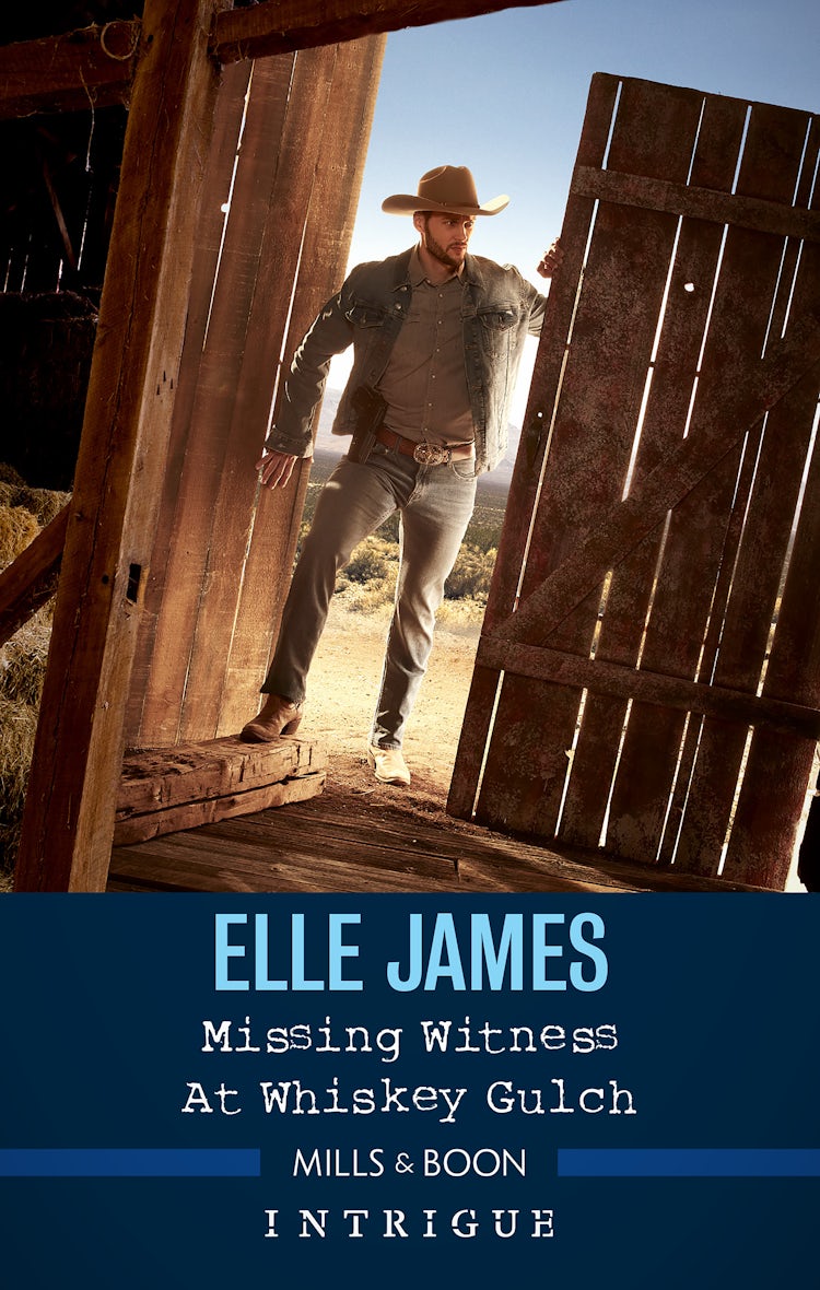 Cover image for Missing Witness at Whiskey Gulch, isbn: 9781867264156
