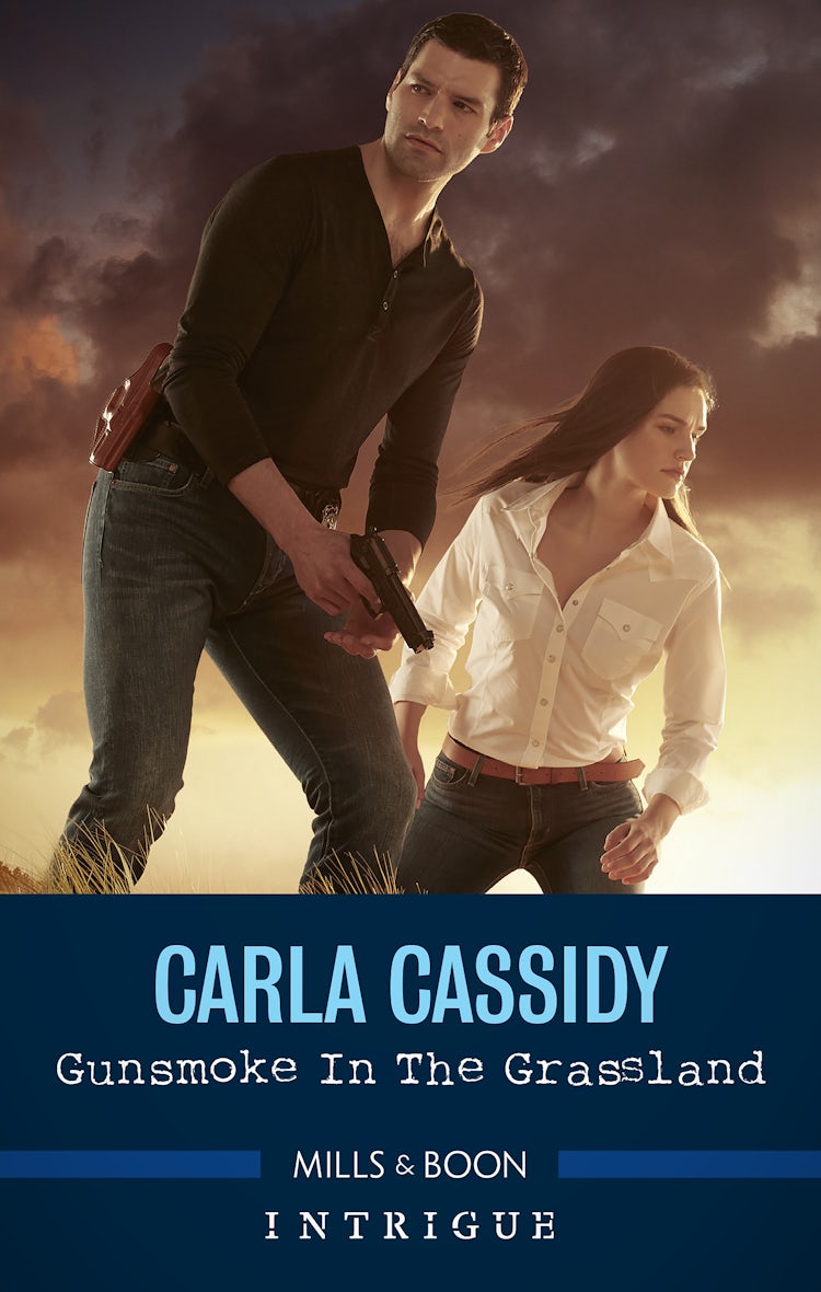 Cover image for Gunsmoke in the Grassland, isbn: 9781867264187
