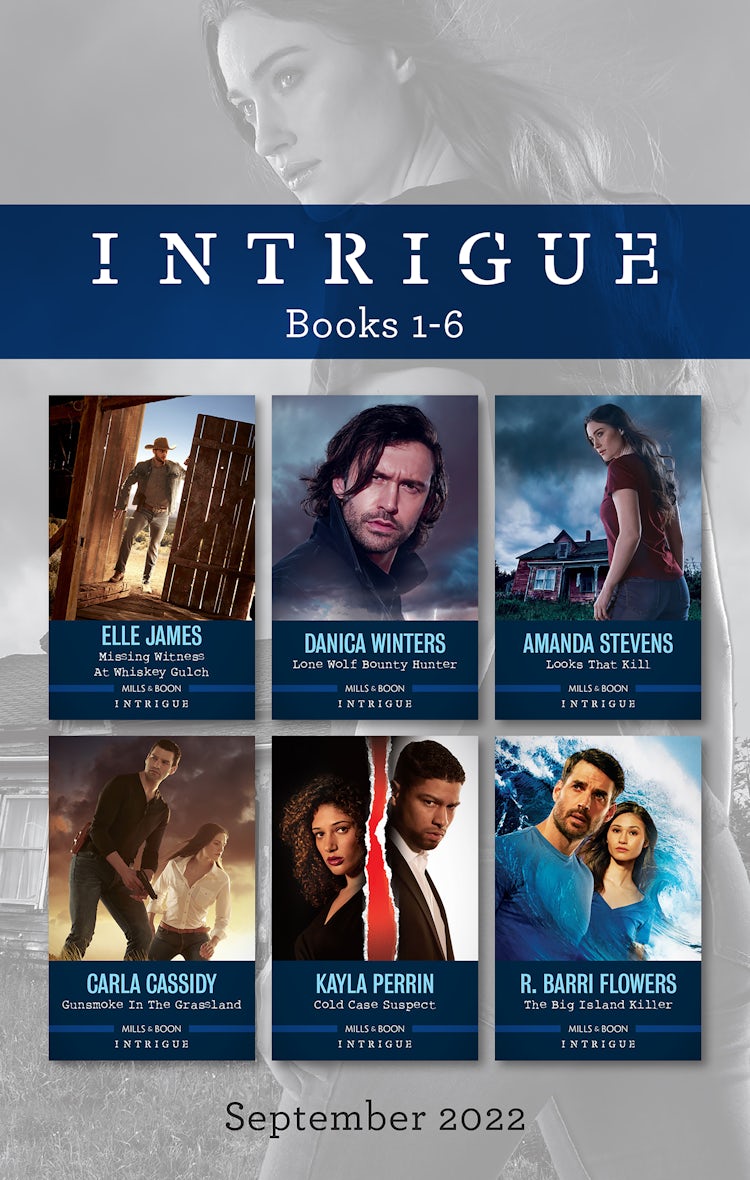 Cover image for Intrigue Box Set Sept 2022/Missing Witness at Whiskey Gulch/Lone Wolf Bounty Hunter/Looks That Kill/Gunsmoke in the Grassland/Cold Case Suspect/The Big Island Killer, isbn: 9781867264217