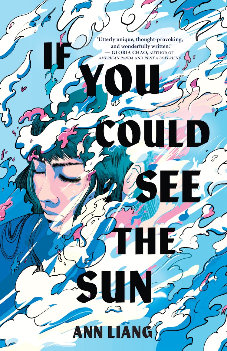 Cover image for If You Could See the Sun, isbn: 9781867265320