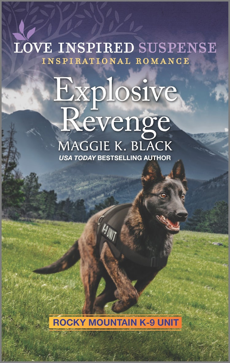 Cover image for Explosive Revenge, isbn: 9781867265924