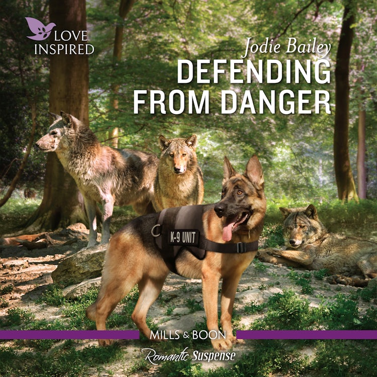 Cover image for Defending from Danger, isbn: 9781867266037