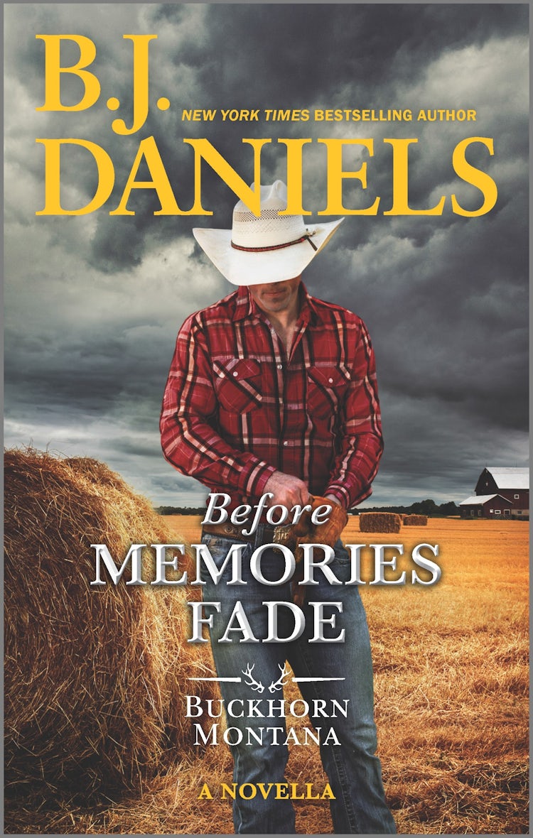 Cover image for Before Memories Fade (A Buckhorn, Montana novella), isbn: 9781867266532