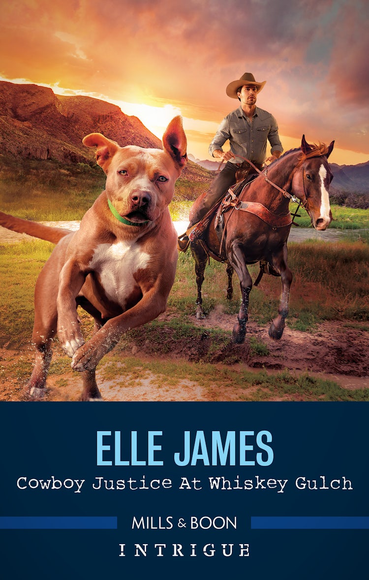 Cover image for Cowboy Justice at Whiskey Gulch, isbn: 9781867267645