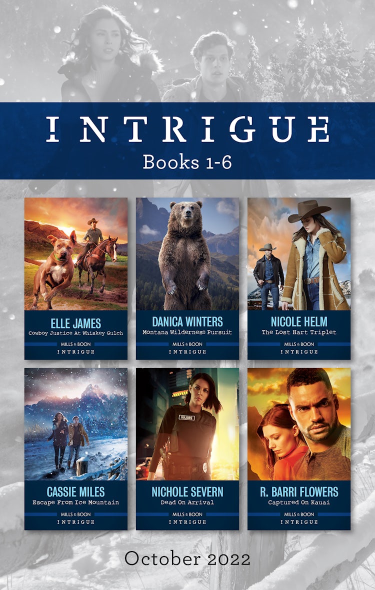 Cover image for Intrigue Box Set Oct 2022/Cowboy Justice at Whiskey Gulch/Montana Wilderness Pursuit/The Lost Hart Triplet/Escape from Ice Mountain/Dead on Arrival/Captured on Kauai, isbn: 9781867267706