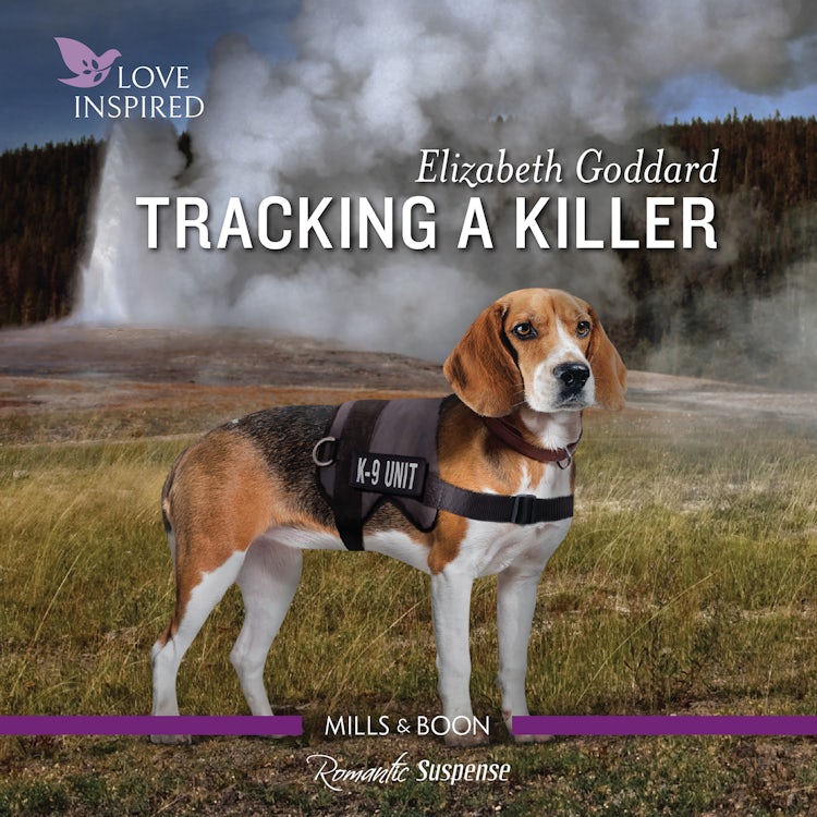 Cover image for Tracking a Killer, isbn: 9781867268659