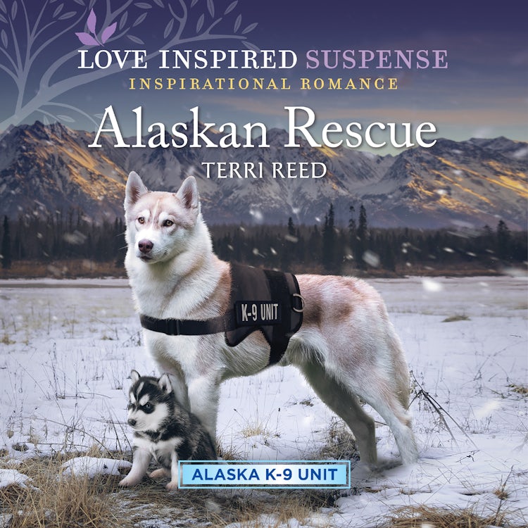 Cover image for Alaskan Rescue, isbn: 9781867268710