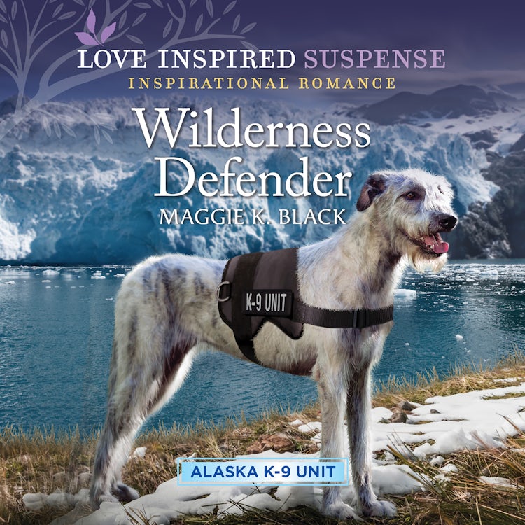 Cover image for Wilderness Defender, isbn: 9781867268727