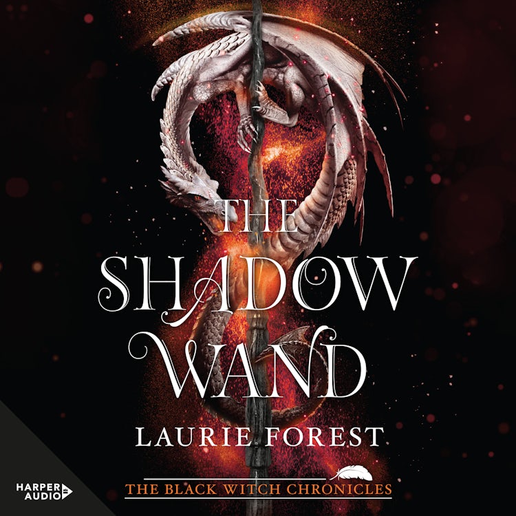Cover image for The Shadow Wand, isbn: 9781867268840