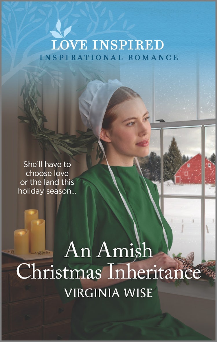 Cover image for An Amish Christmas Inheritance, isbn: 9781867269274