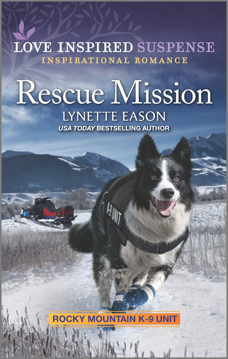 Cover image for Rescue Mission, isbn: 9781867269380