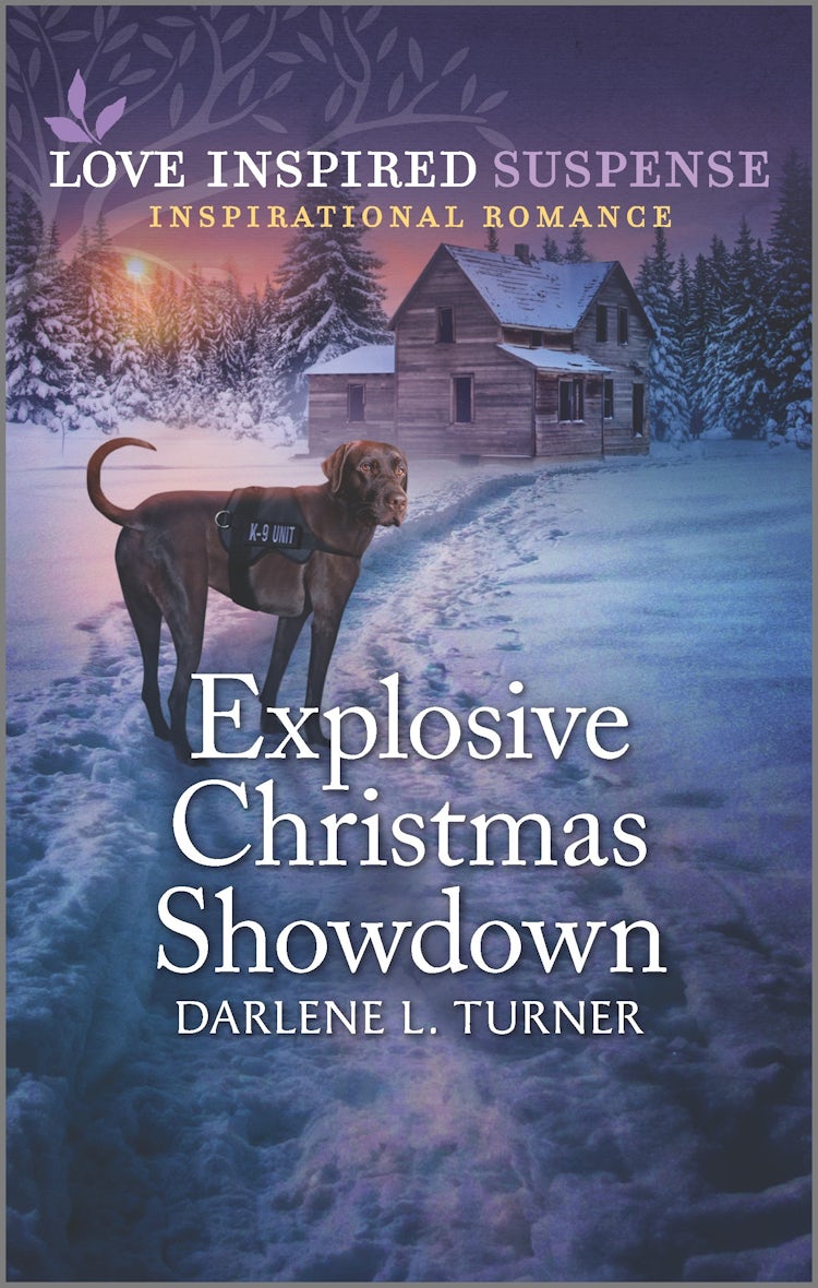 Cover image for Explosive Christmas Showdown, isbn: 9781867269410