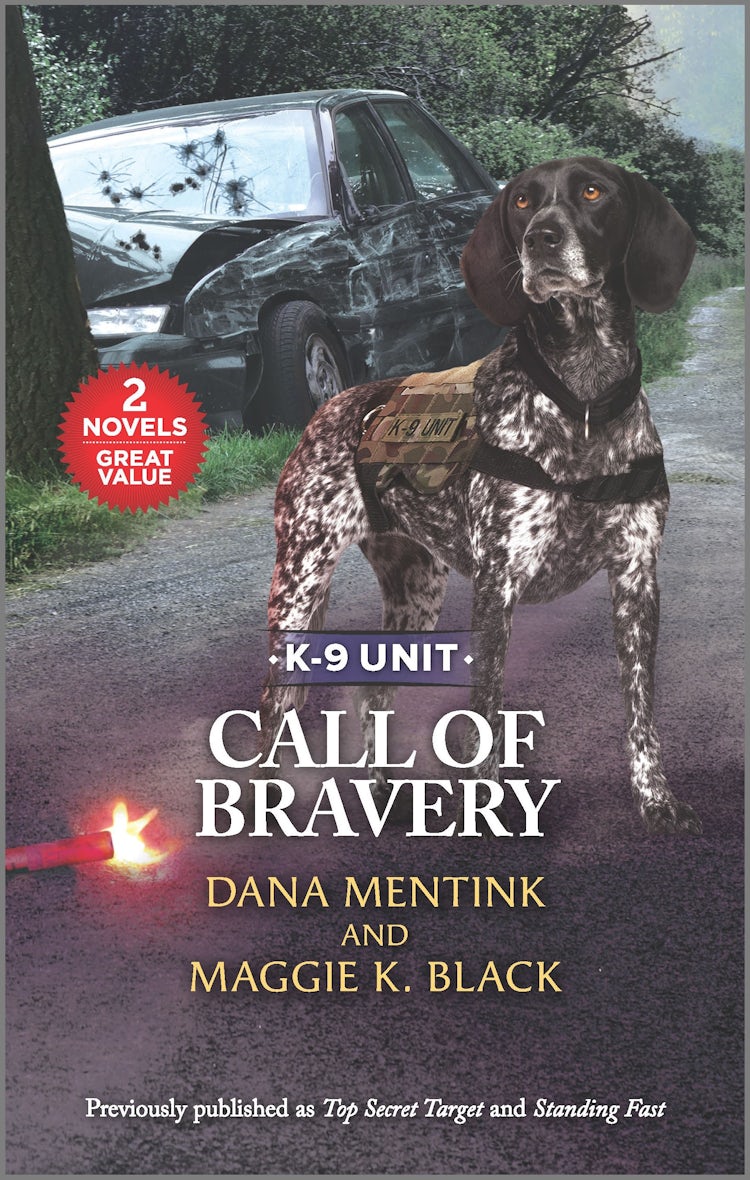 Cover image for Call of Bravery/Top Secret Target/Standing Fast, isbn: 9781867269502