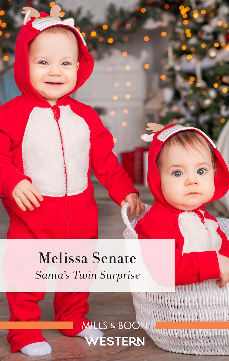 Cover image for Santa's Twin Surprise, isbn: 9781867270058