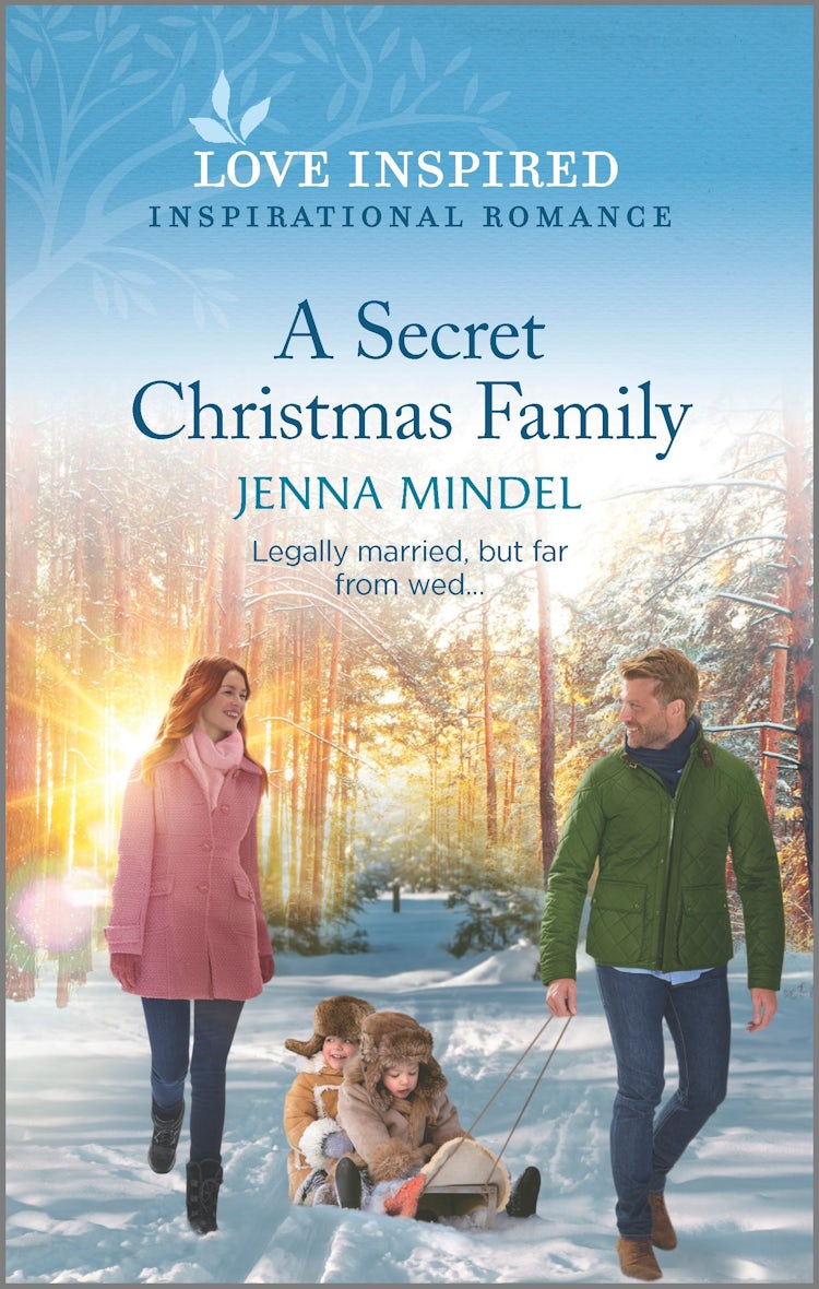 Cover image for A Secret Christmas Family, isbn: 9781867270522