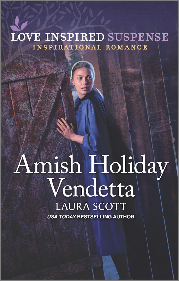 Cover image for Amish Holiday Vendetta, isbn: 9781867270560