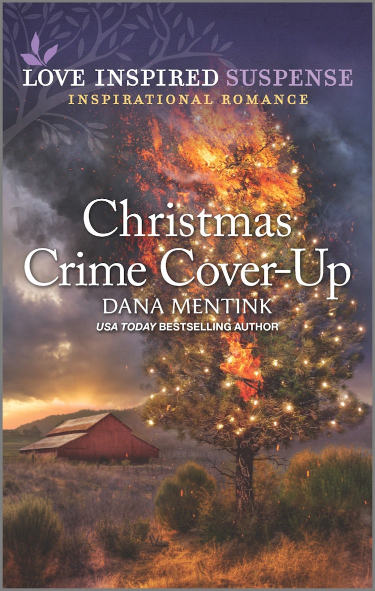 Cover image for Christmas Crime Cover-Up, isbn: 9781867270577