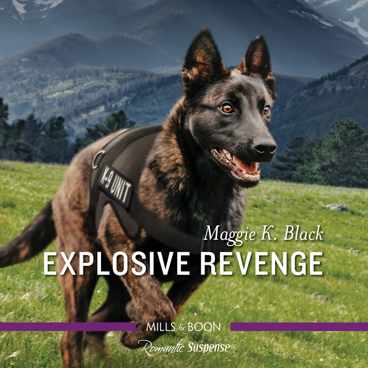 Cover image for Explosive Revenge, isbn: 9781867270829