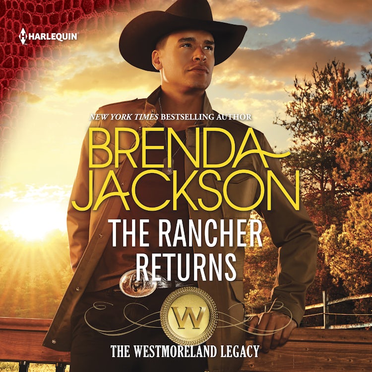 Cover image for The Rancher Returns, isbn: 9781867270843