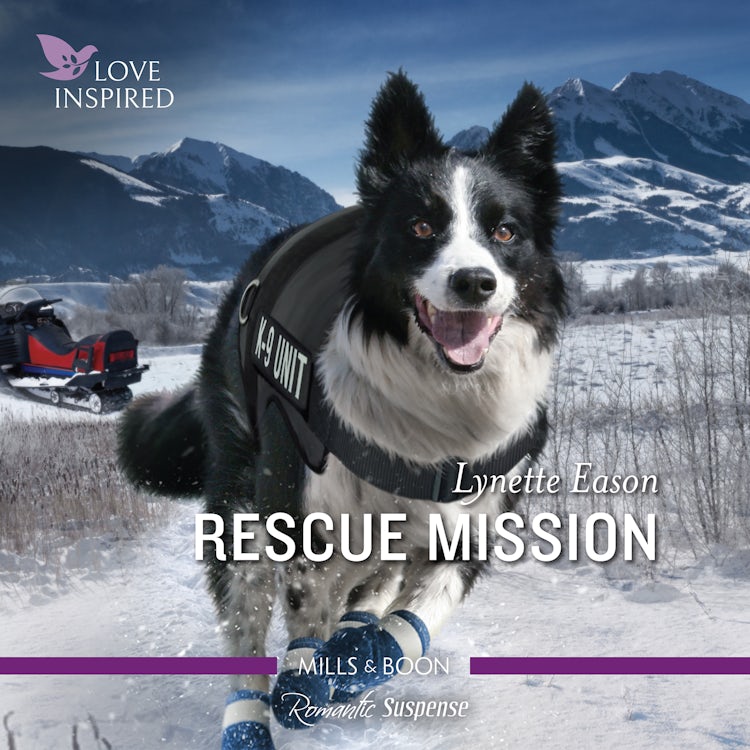Cover image for Rescue Mission, isbn: 9781867271758
