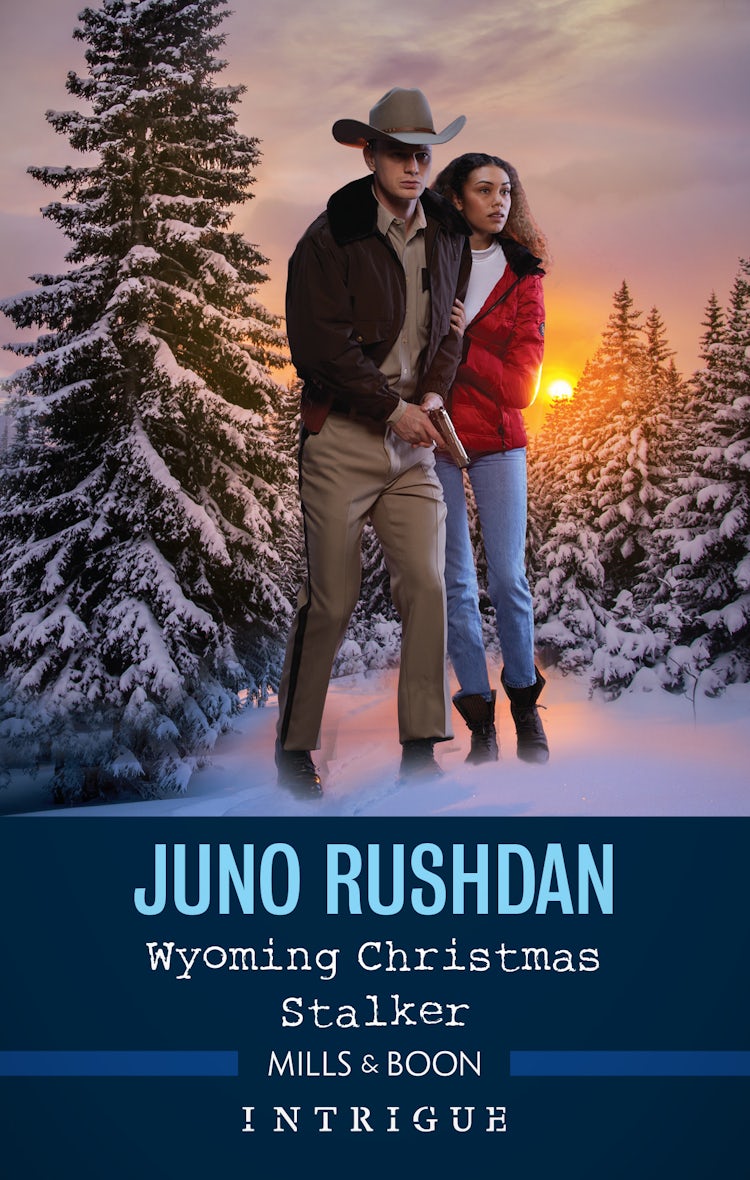 Cover image for Wyoming Christmas Stalker, isbn: 9781867273011