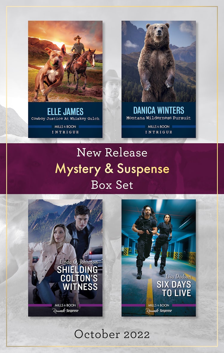 Cover image for Mystery & Suspense New Release Box Set Oct 2022, isbn: 9781867273509