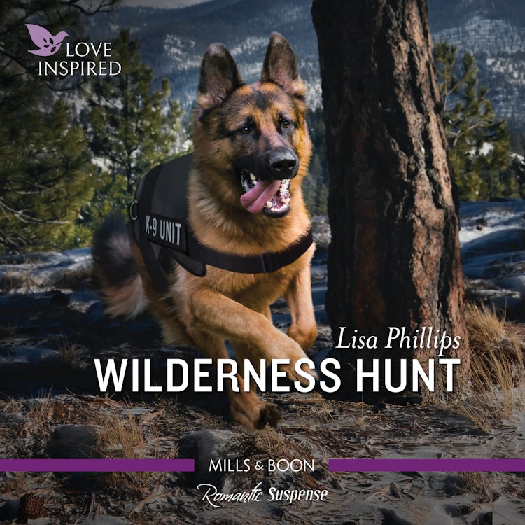 Cover image for Wilderness Hunt, isbn: 9781867274698