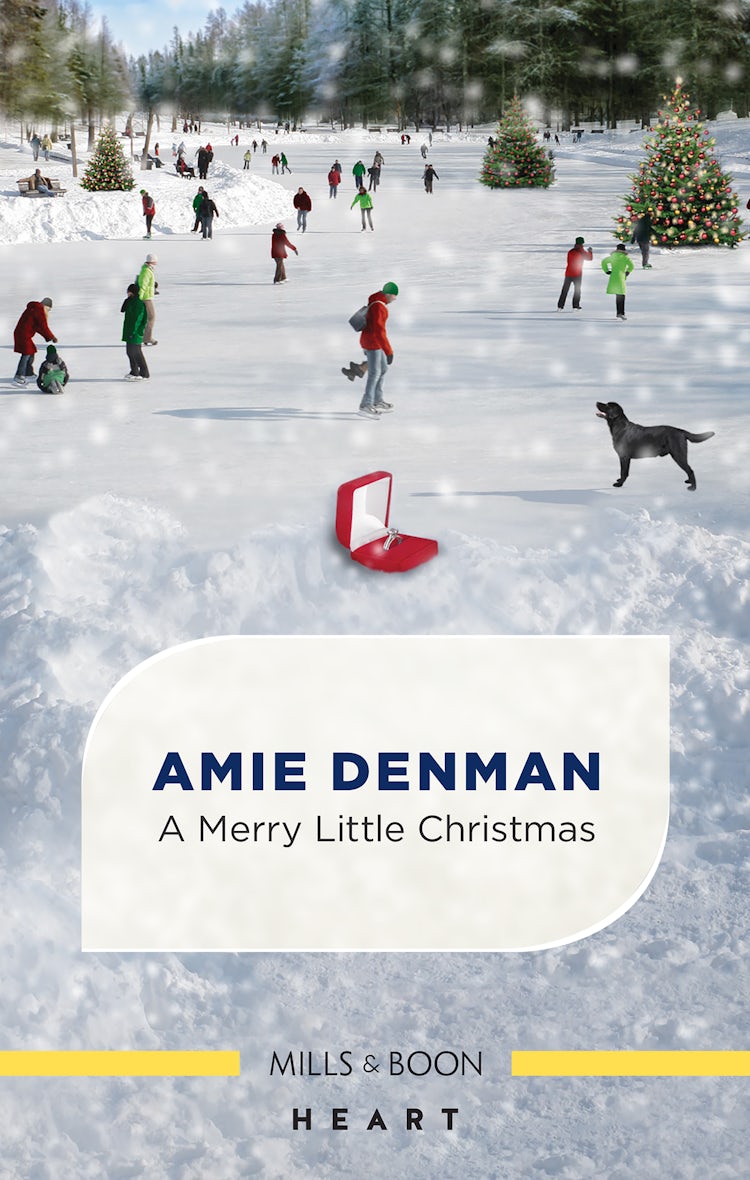Cover image for A Merry Little Christmas, isbn: 9781867275466