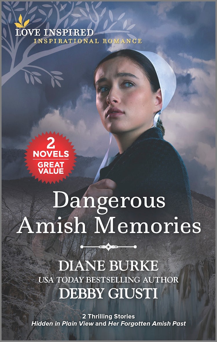 Cover image for Hidden in Plain View/Her Forgotten Amish Past, isbn: 9781867276401