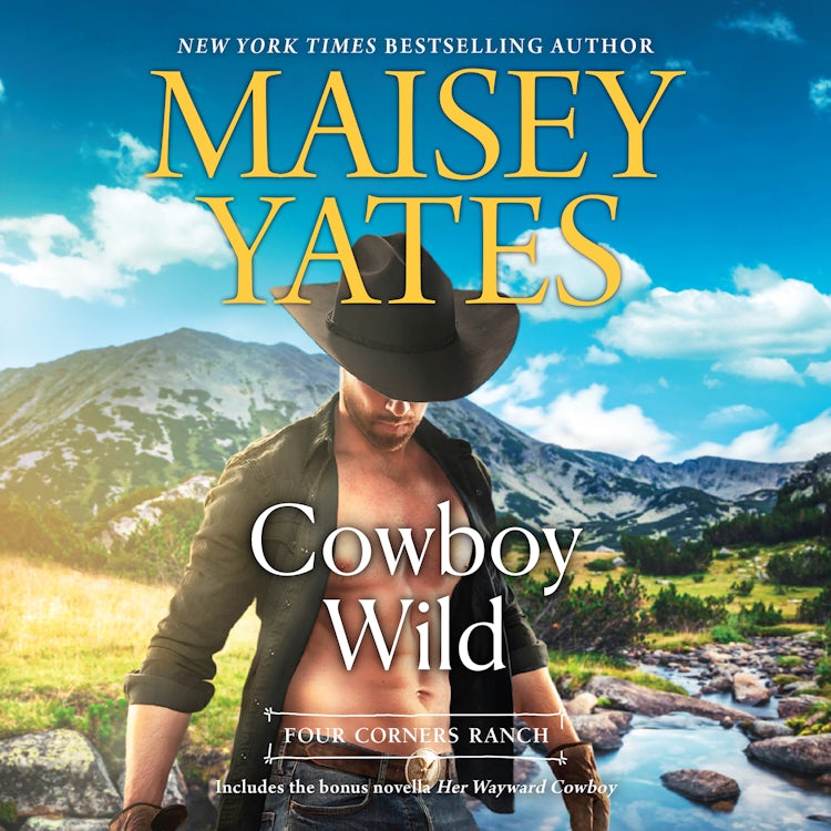Cover image for Cowboy Wild, isbn: 9781867276524