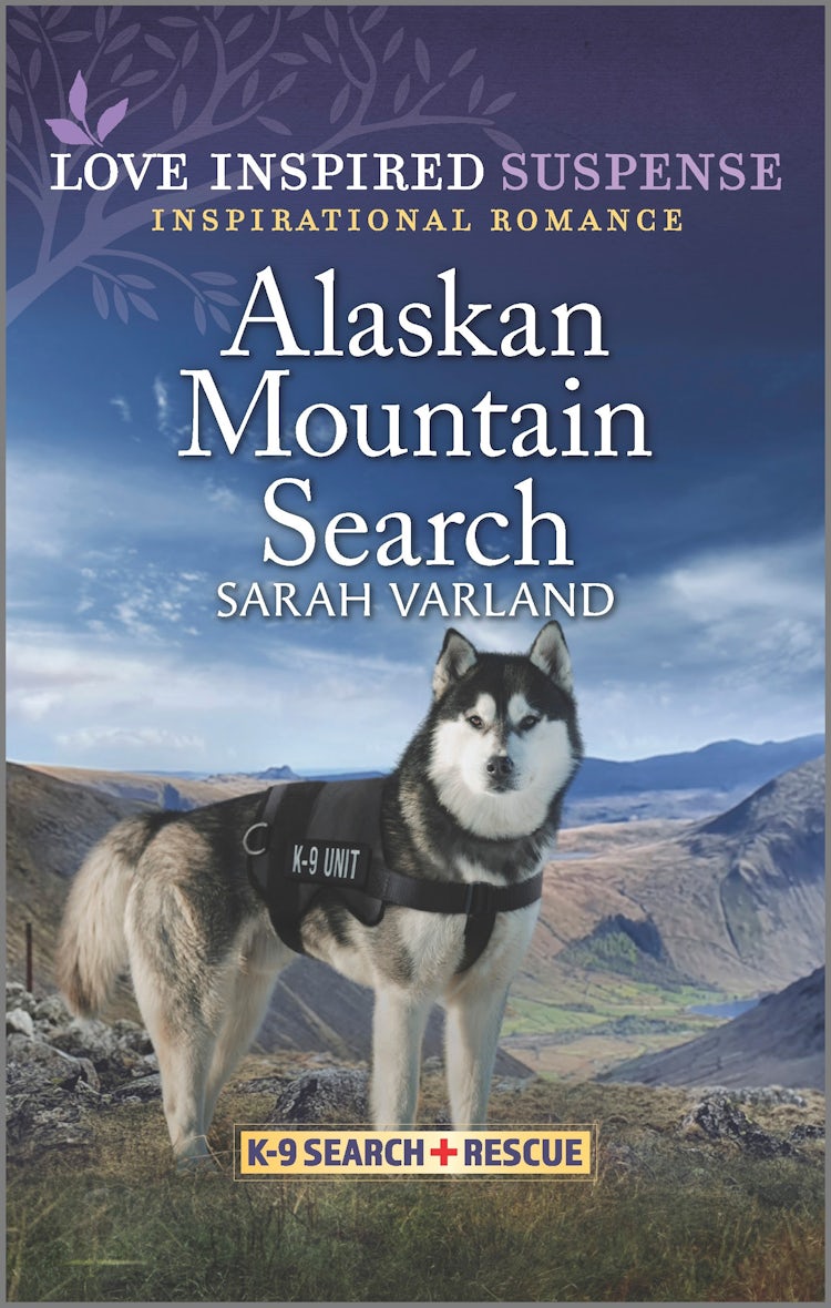 Cover image for Alaskan Mountain Search, isbn: 9781867276852