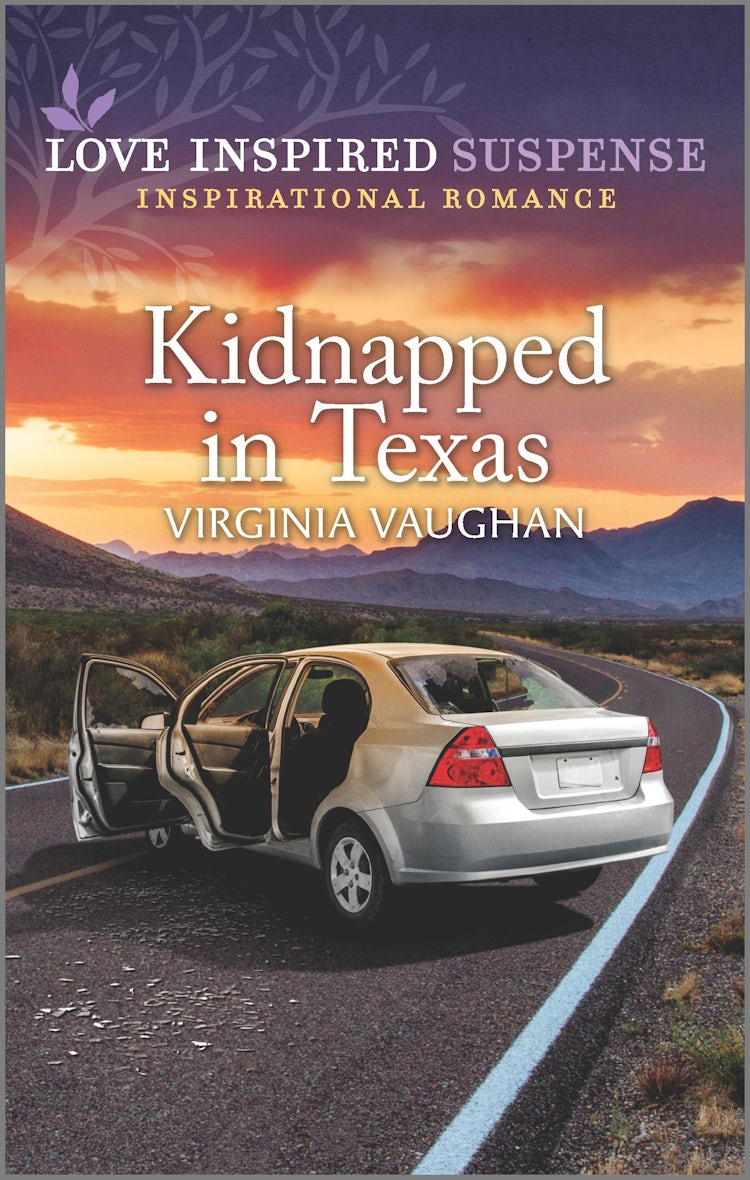 Cover image for Kidnapped in Texas, isbn: 9781867276883