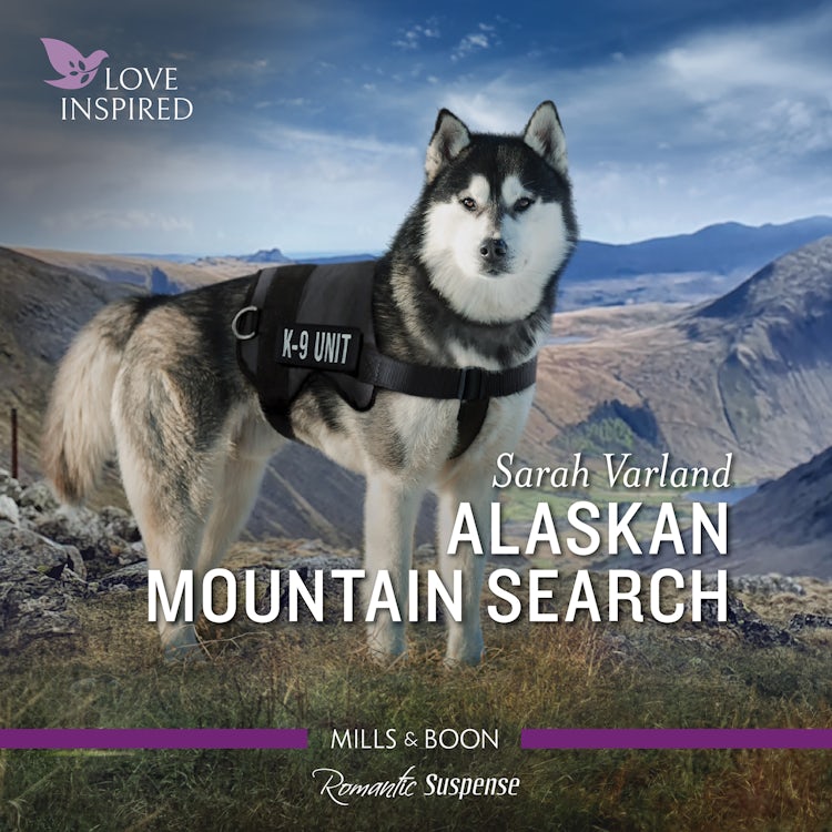 Cover image for Alaskan Mountain Search, isbn: 9781867278344