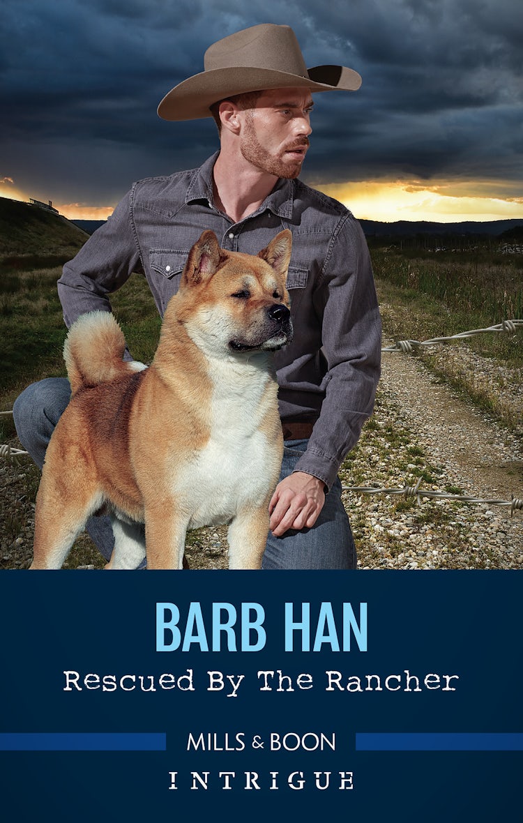 Cover image for Rescued by the Rancher, isbn: 9781867279587
