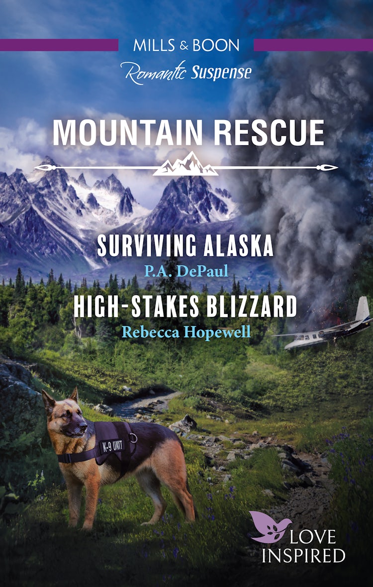 Cover image for Surviving Alaska/High-Stakes Blizzard, isbn: 9781867279716