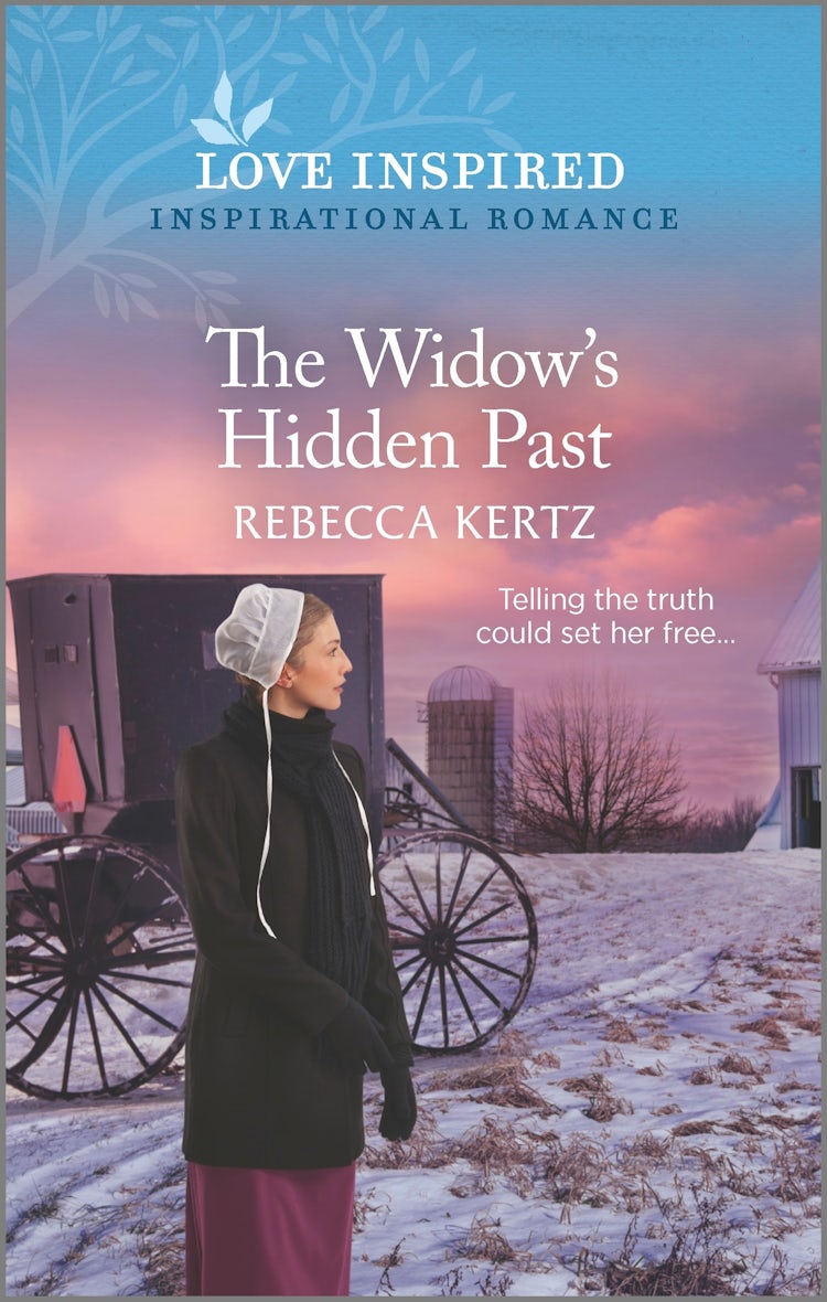 Cover image for The Widow's Hidden Past, isbn: 9781867280880