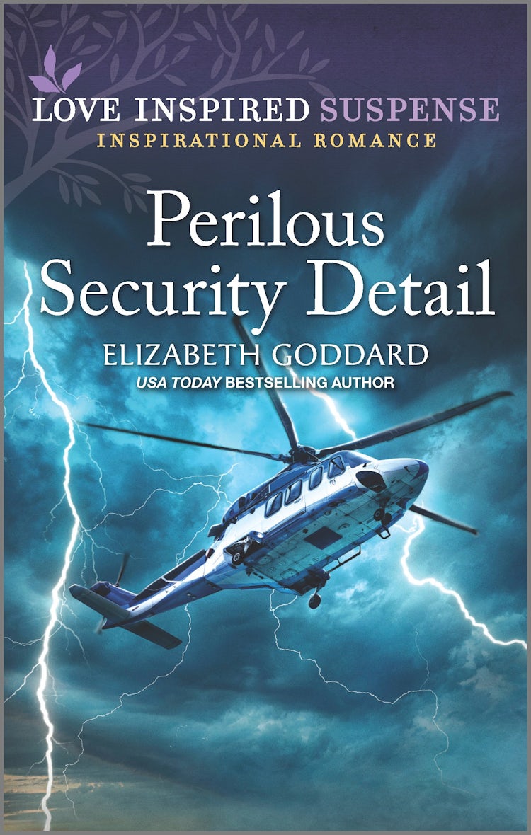 Cover image for Perilous Security Detail, isbn: 9781867280989