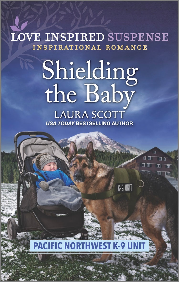 Cover image for Shielding the Baby, isbn: 9781867281115