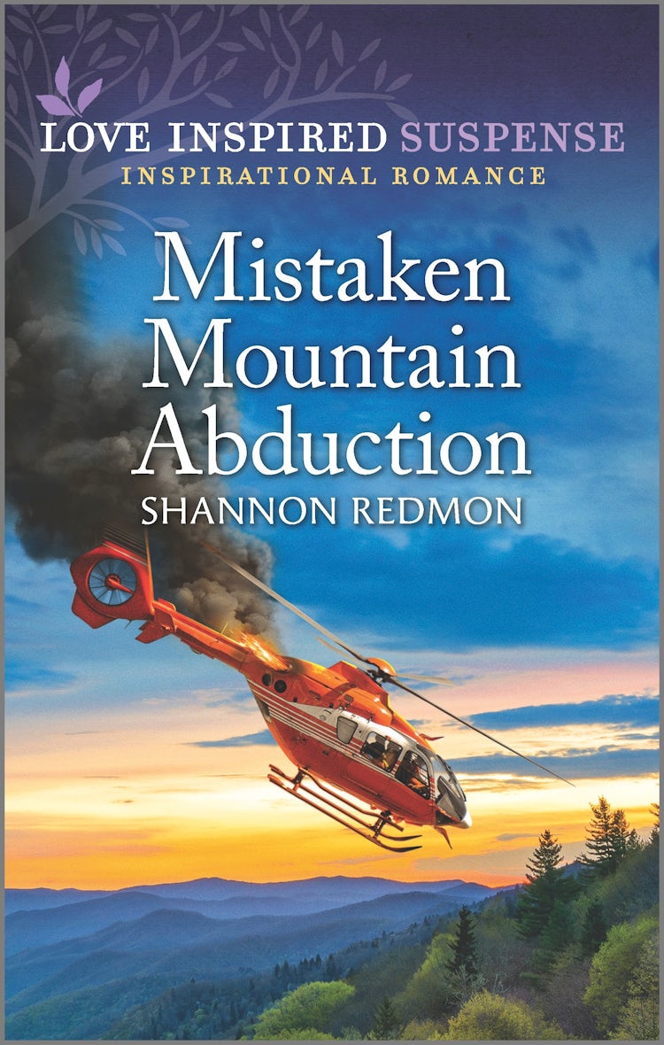 Cover image for Mistaken Mountain Abduction, isbn: 9781867281153