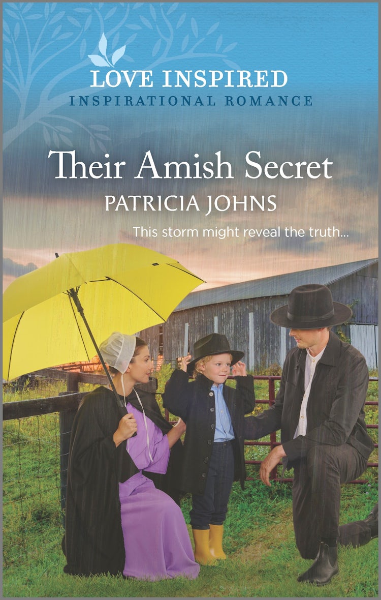 Cover image for Their Amish Secret, isbn: 9781867281191
