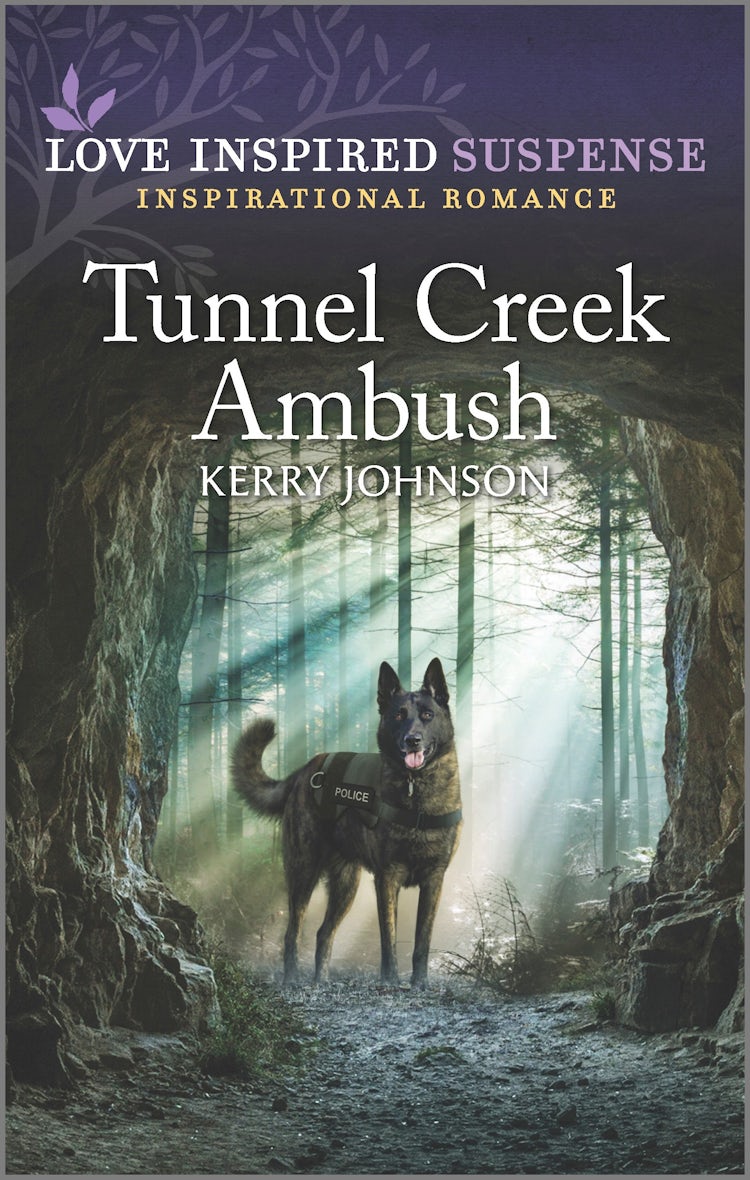 Cover image for Tunnel Creek Ambush, isbn: 9781867281313