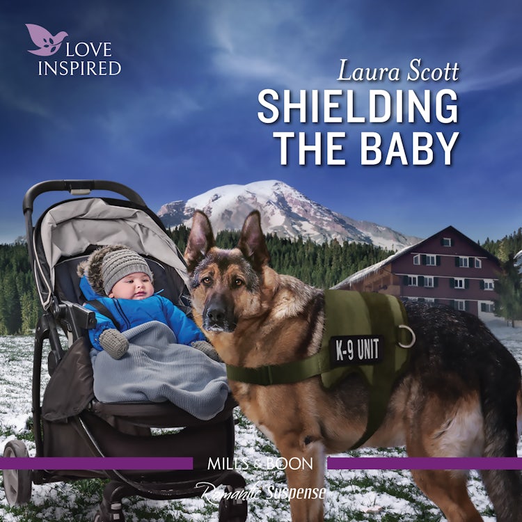 Cover image for Shielding the Baby, isbn: 9781867284024