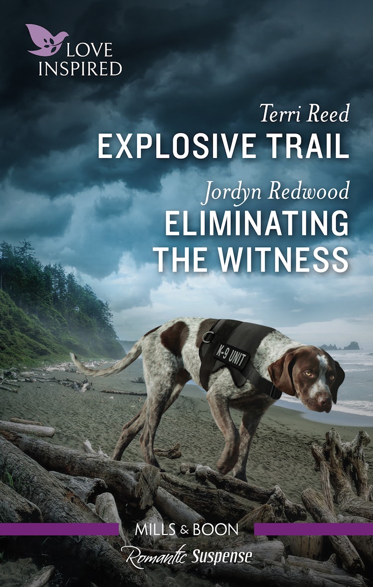 Cover image for Explosive Trail/Eliminating the Witness, isbn: 9781867284680