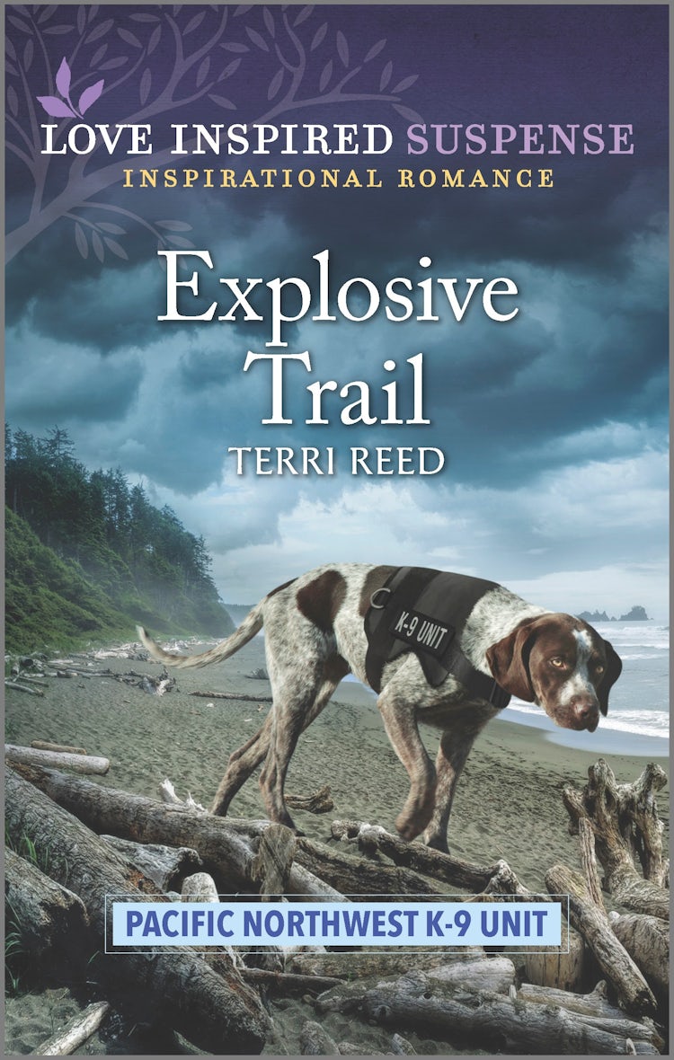 Cover image for Explosive Trail, isbn: 9781867285236